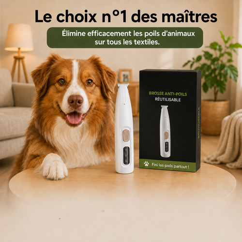Tondeuse pour poils d'animaux